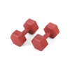 Гантелі для фітнесу композитні Gymtek 2х3кг червоний