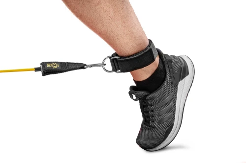 Тренировка ног