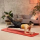 Image 8 for Коврик для йоги Hop-Sport HS-NB015GM NBR 1,5см яскраво-червоний