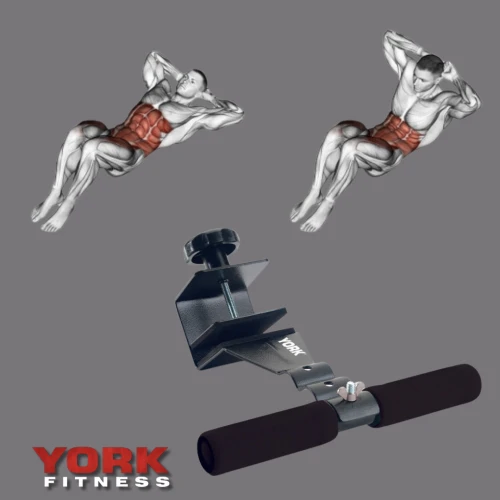 Які м'язи працюють: