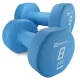 Image 1 for Гантелі для фітнесу неопренові круглі Hop-Sport HS-V080DR 2x8кг блакитний